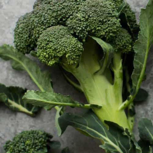 Broccoli mit Baumnusssauce