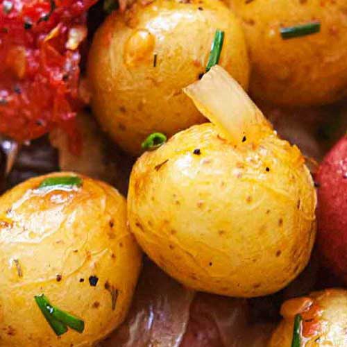 Tomaten-Kartoffel-Lauch Gratin